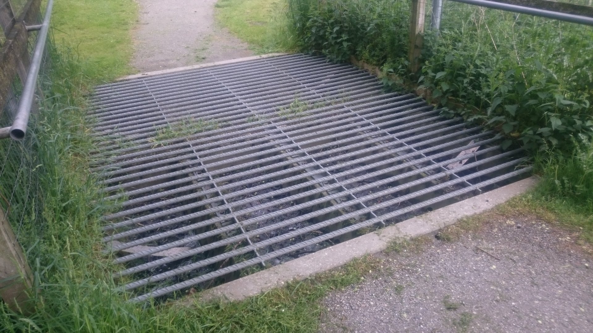 Entrance Walk-through Red deer - Mouflon