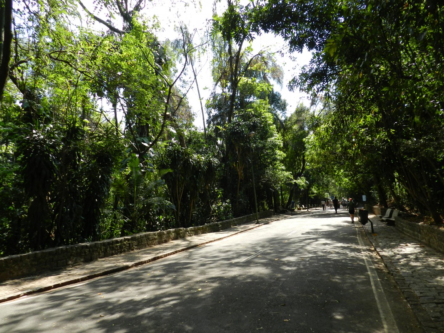 Entrance walkway - Campinas zoo (BDJ)