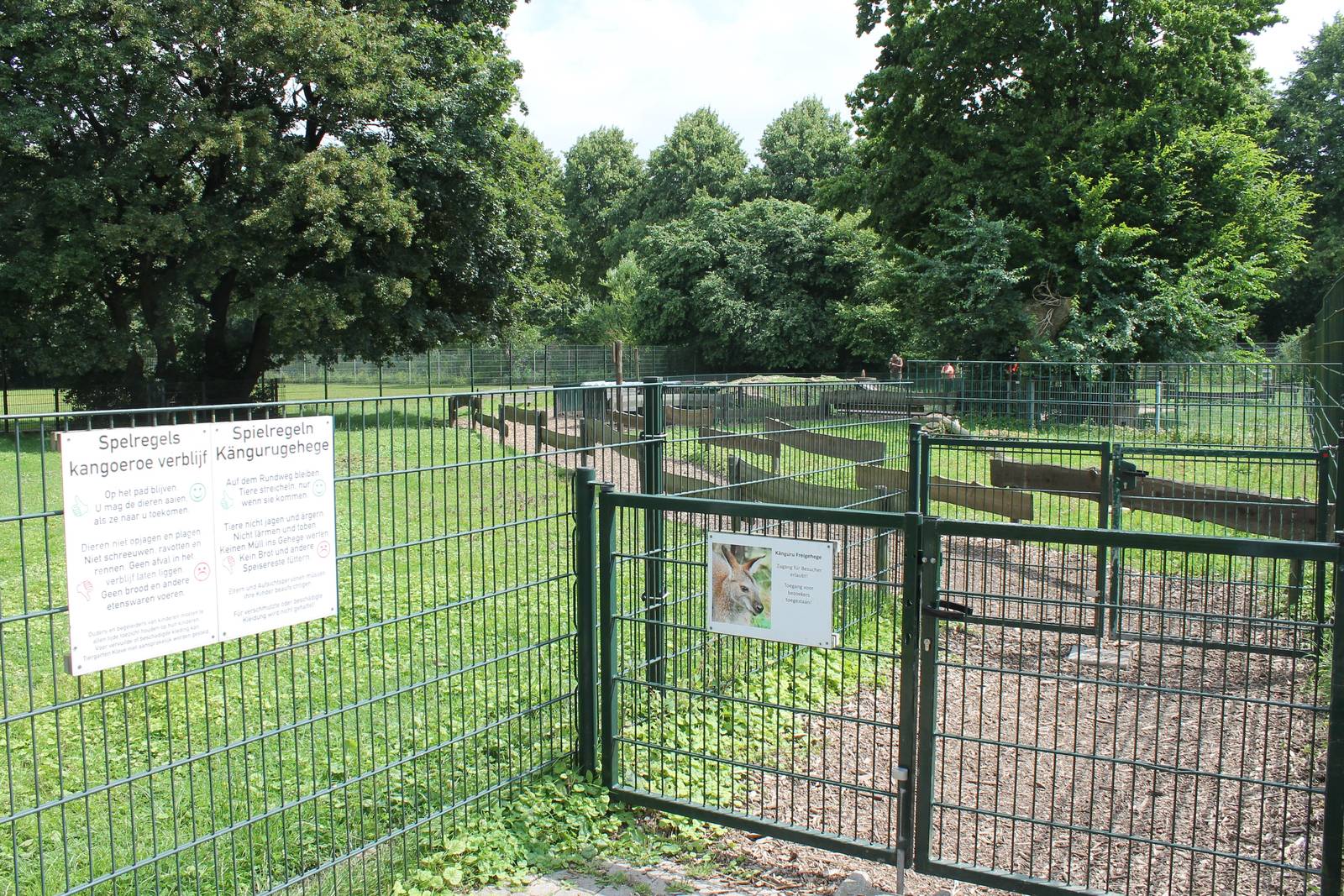 Entrance Wallaby walk-through