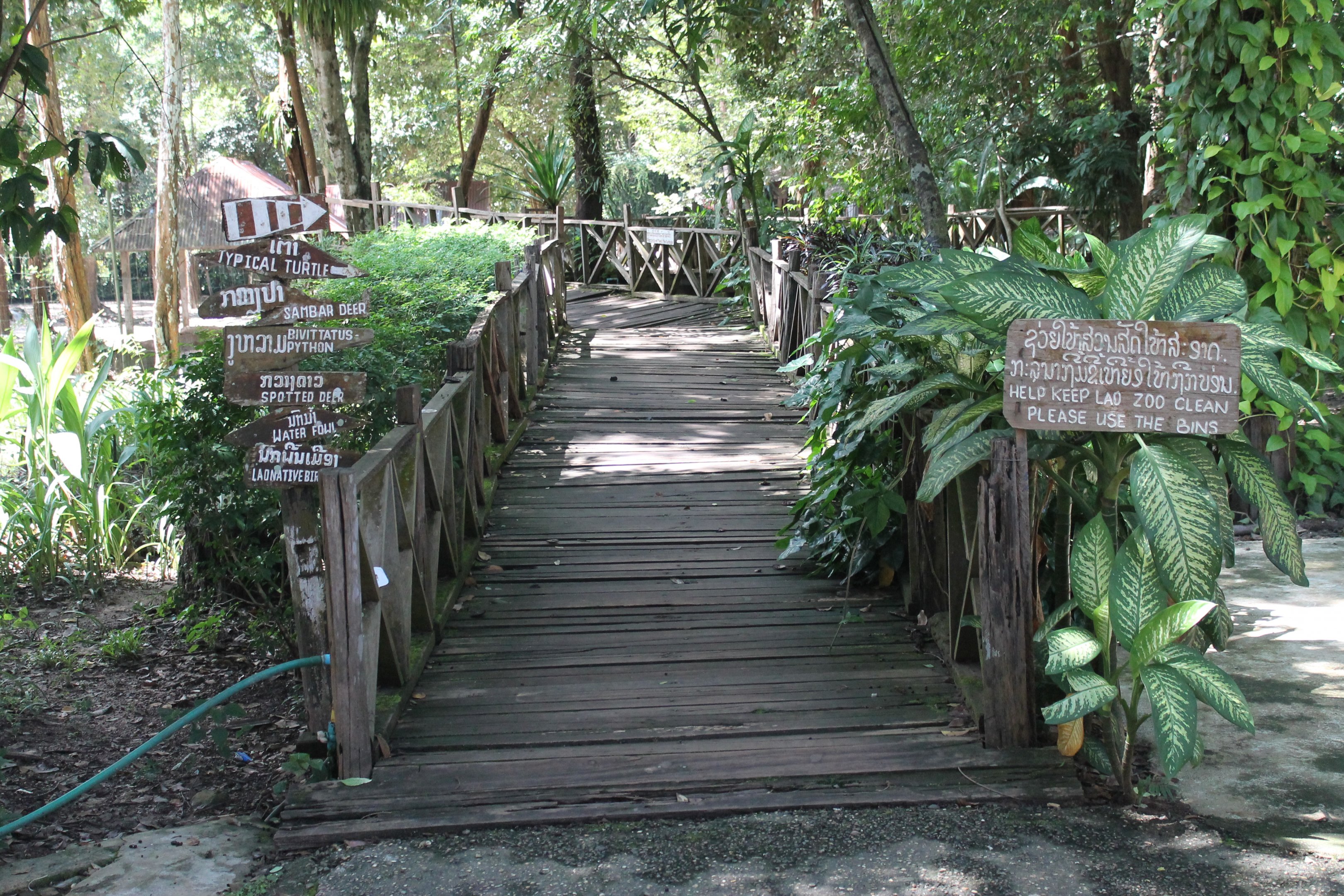 entry boardwalk