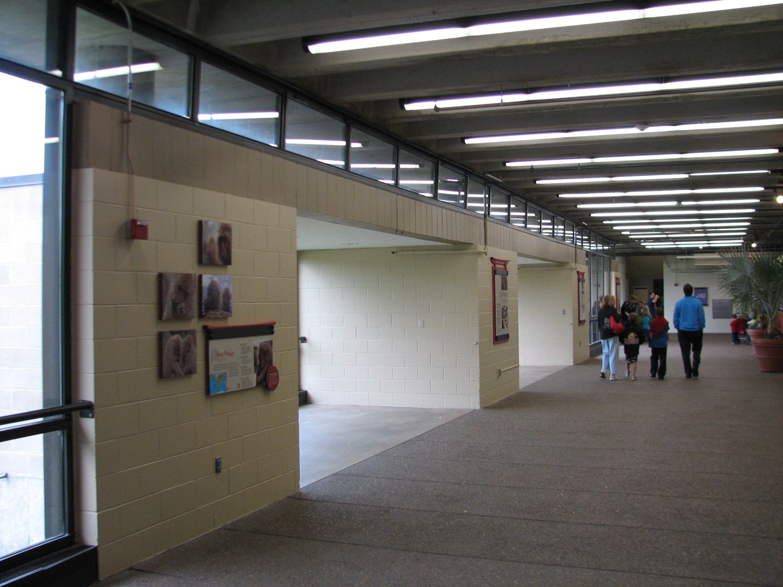 Entry Building - Hallway