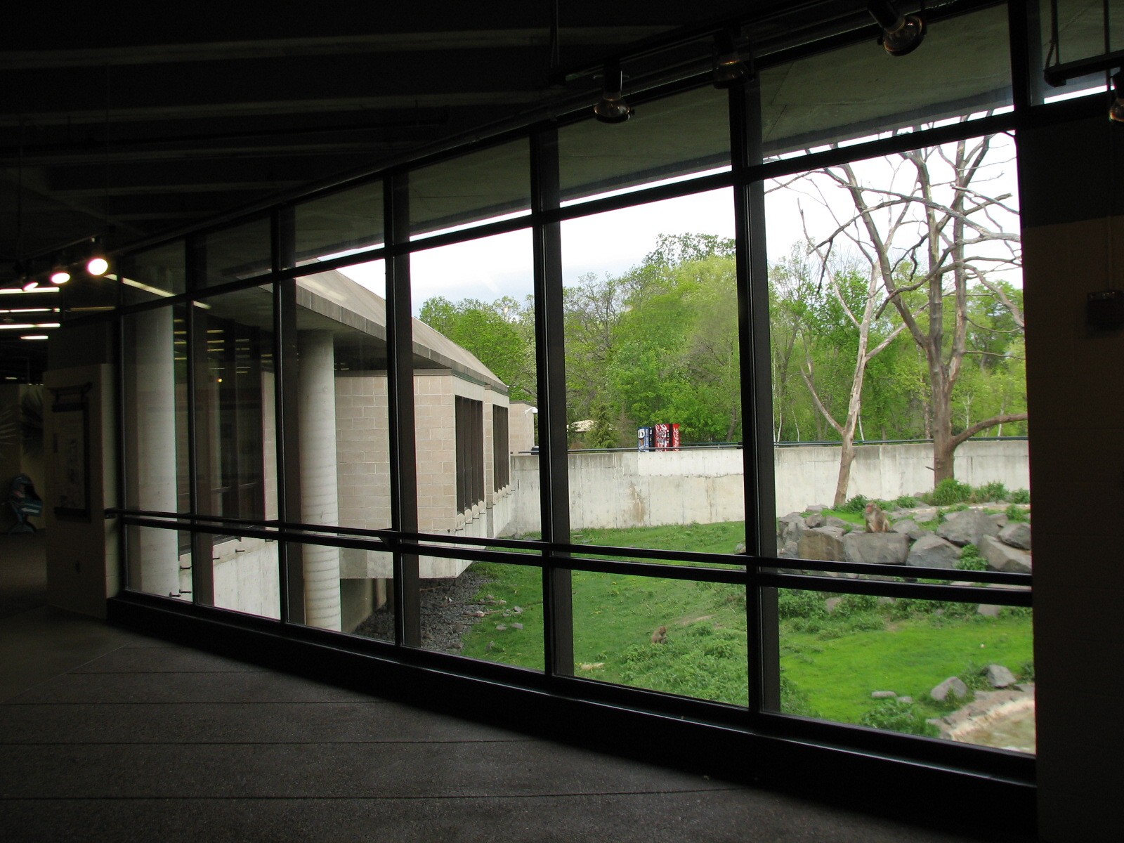 Entry Building - Snow Monkey Exhibit Indoor Viewing