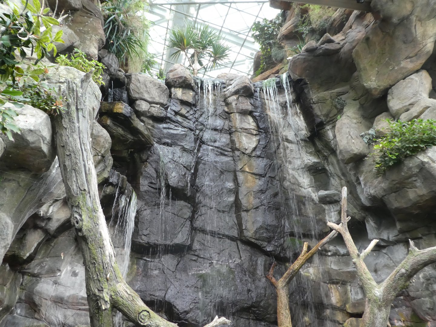 Entry Exhibit Waterfall