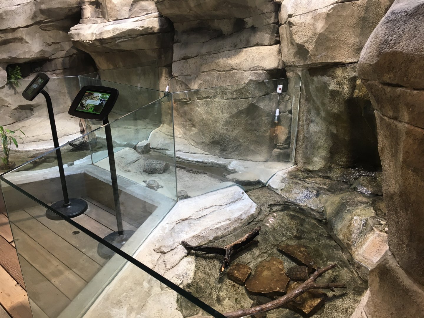 Entry Freshwater Turtle Exhibits