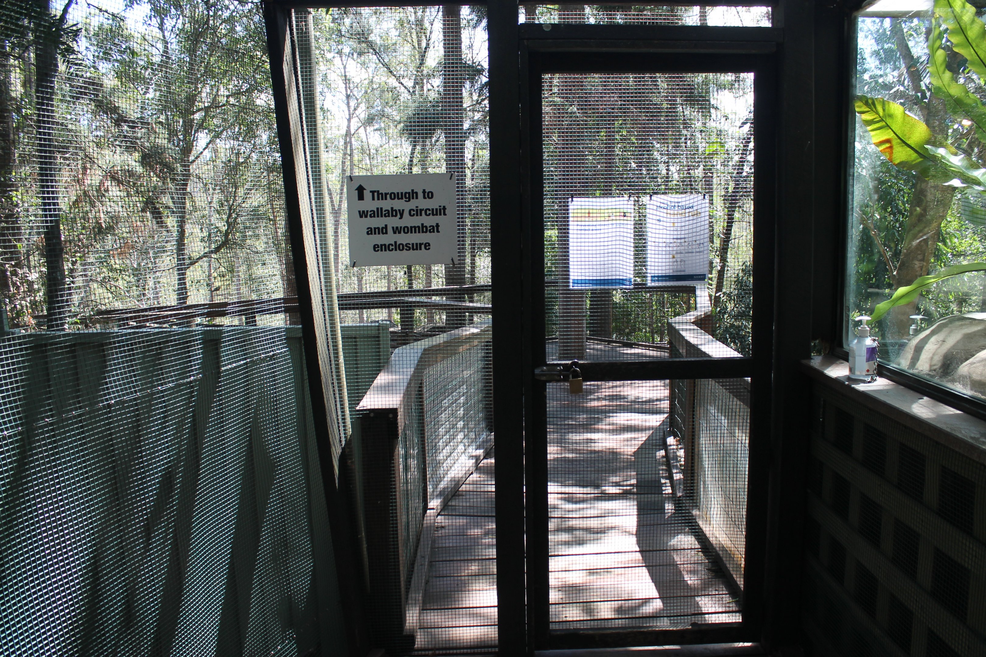 entry into the kangaroo walk-through enclosure