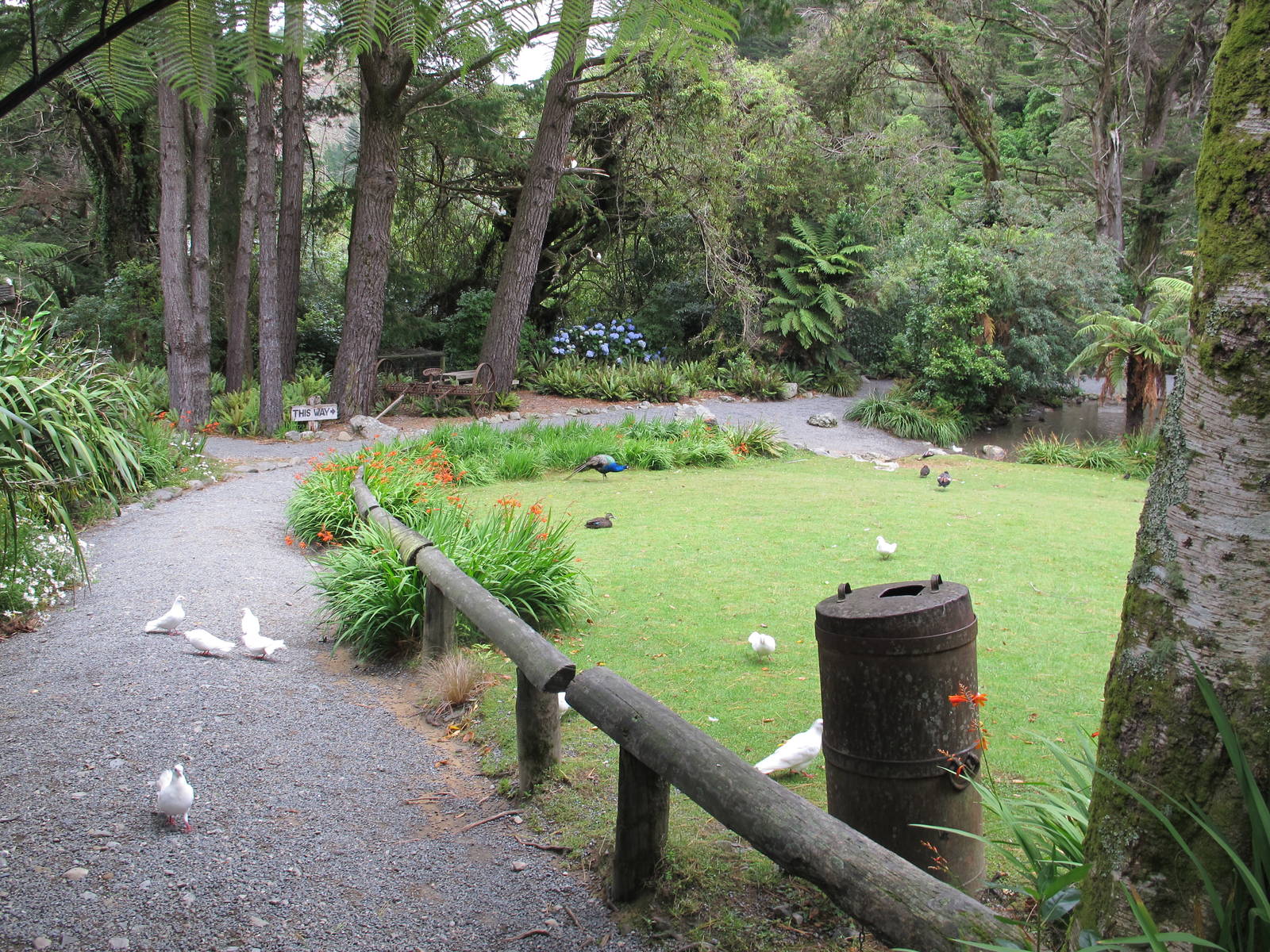 Entry Lawn - Staglands 2013