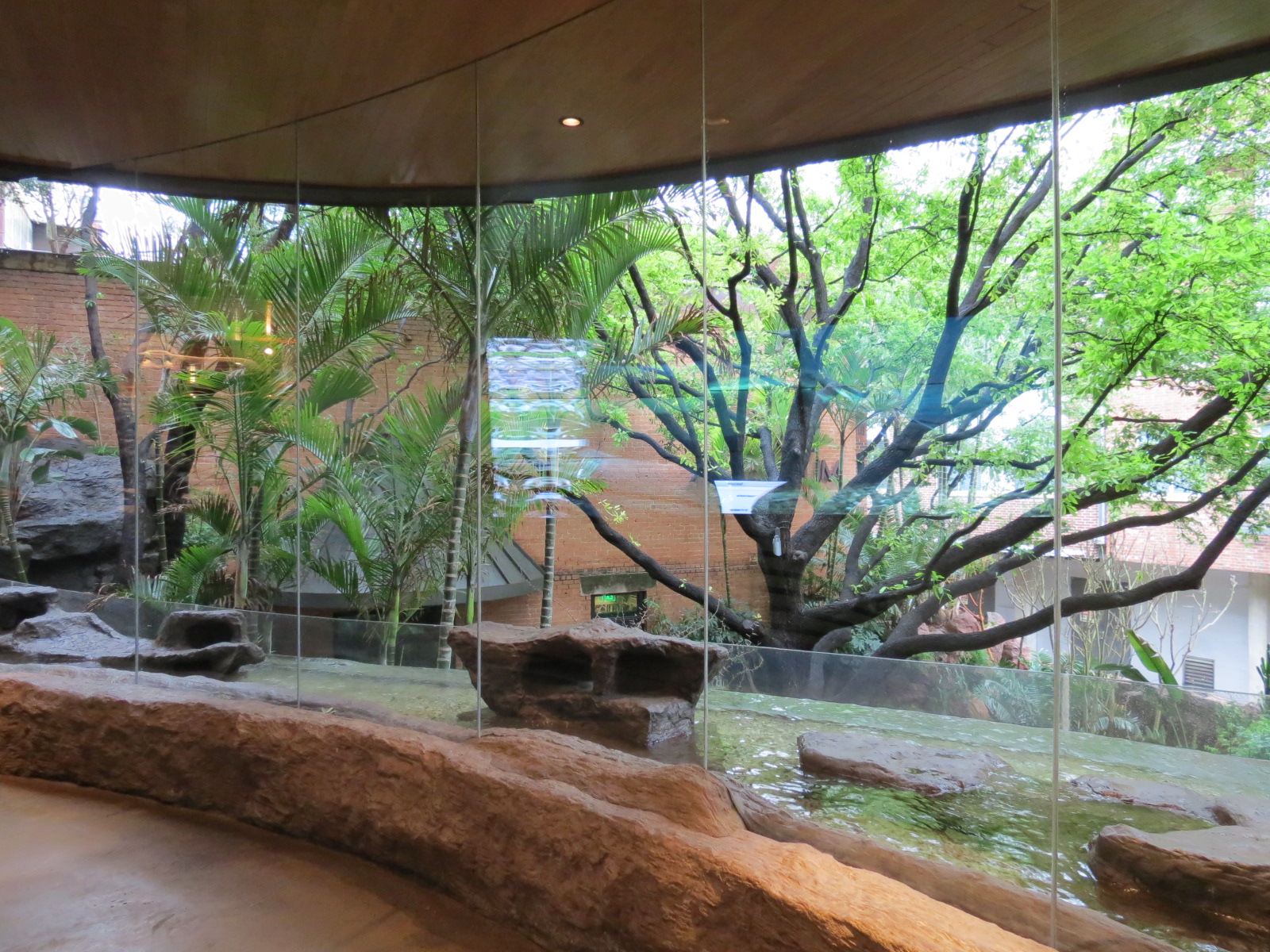 Entry Lobby - Fairy Penguin Exhibit