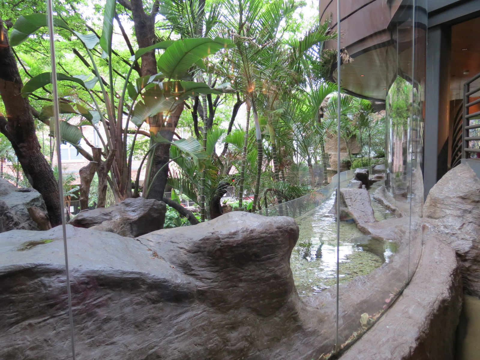 Entry Lobby - Fairy Penguin Exhibit