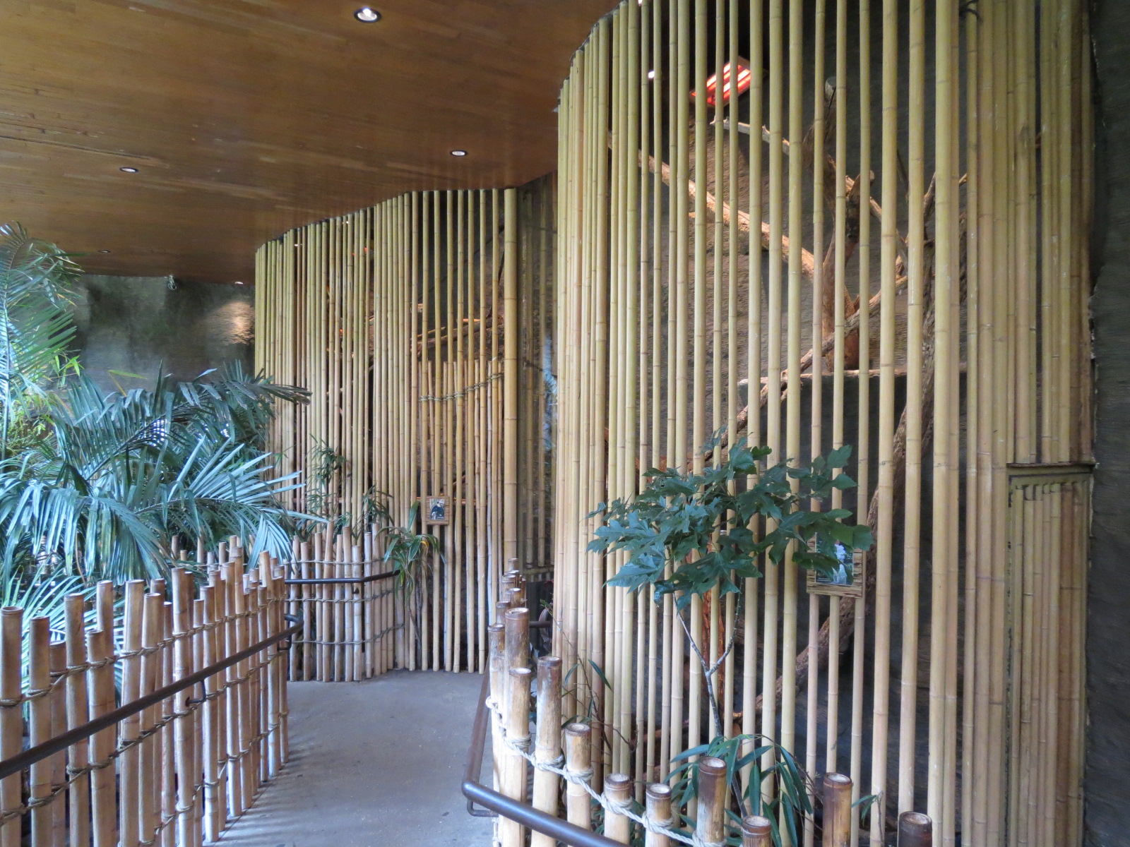 Entry Path - Moloccan Cockatoo and Argus Pheasant Exhibit