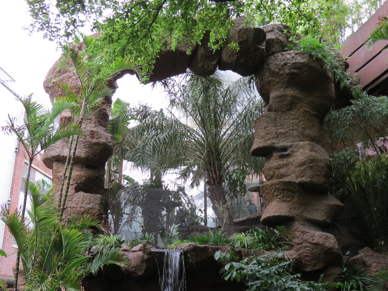 Entry Path - Shoebill Stork and Other Birds Exhibit