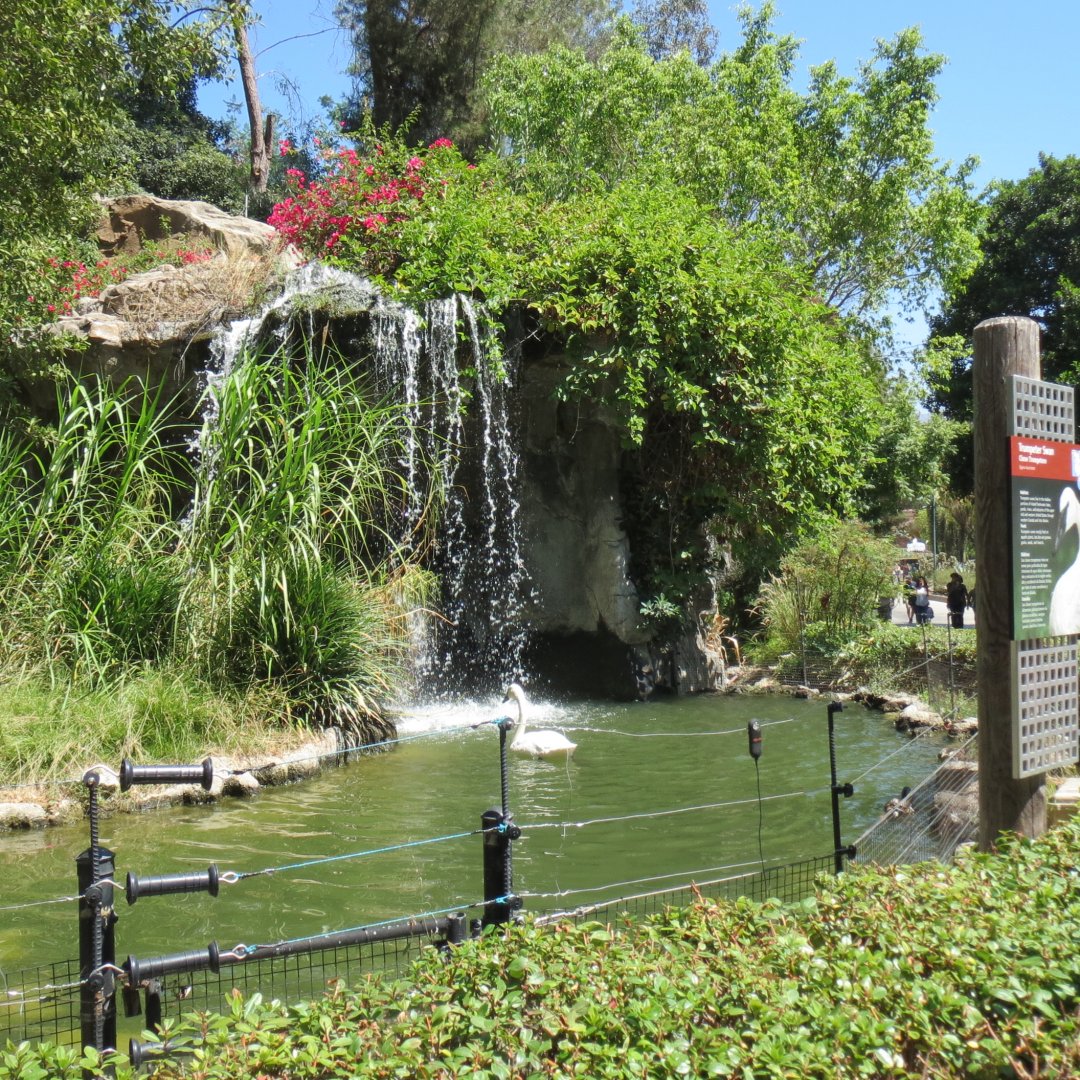 Entry Path - Trumpeter Swan Exhibit