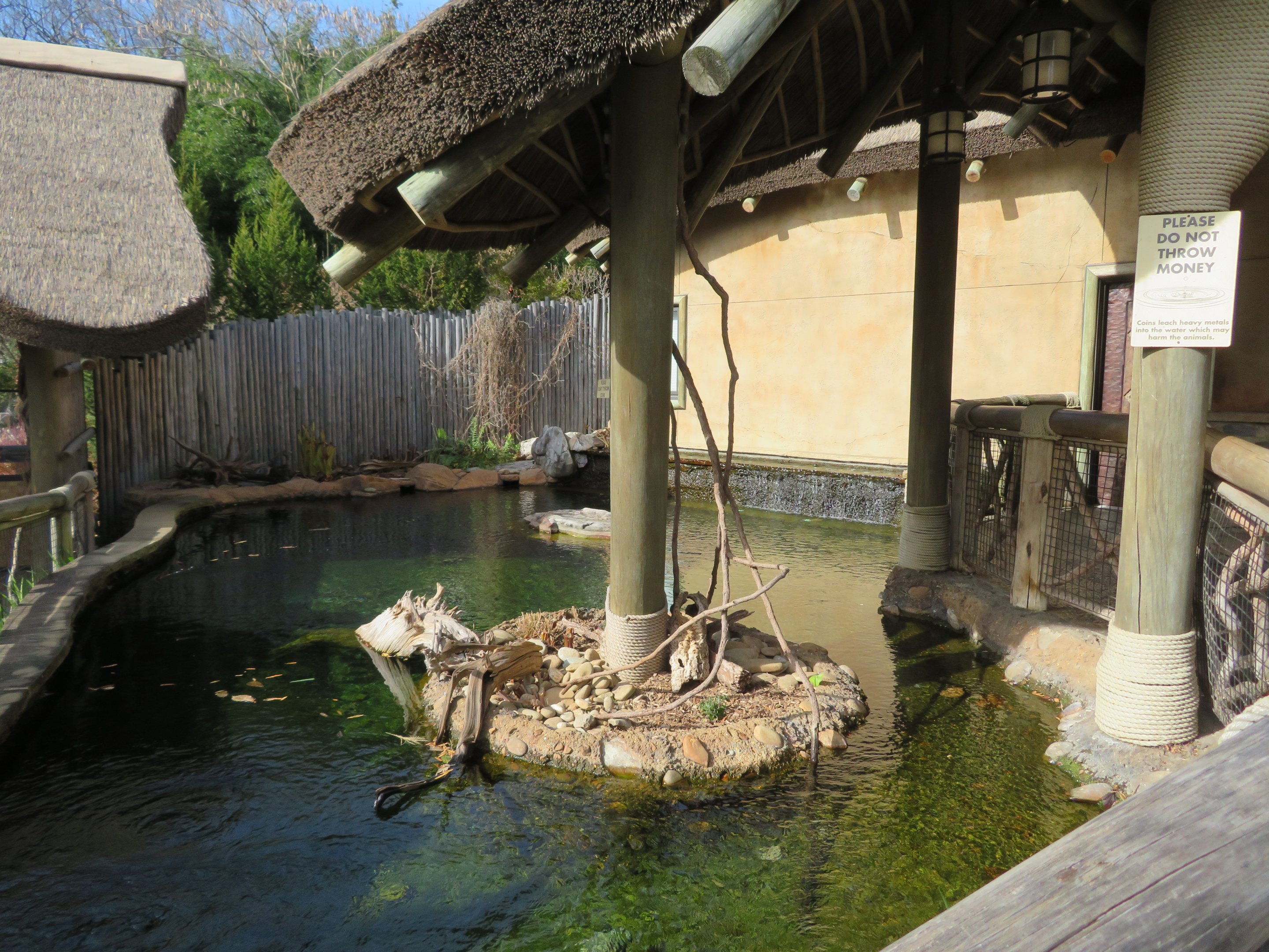 Entry Plaza - Catfish Pond