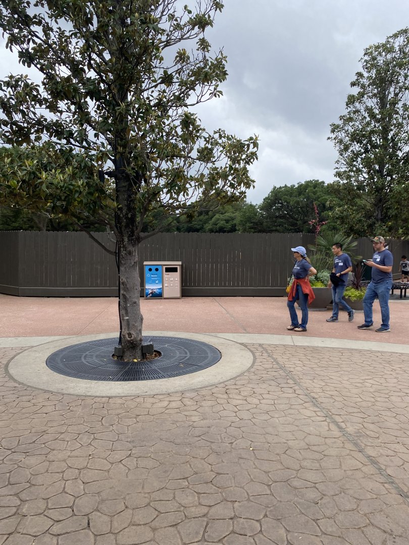 Entry Plaza Construction