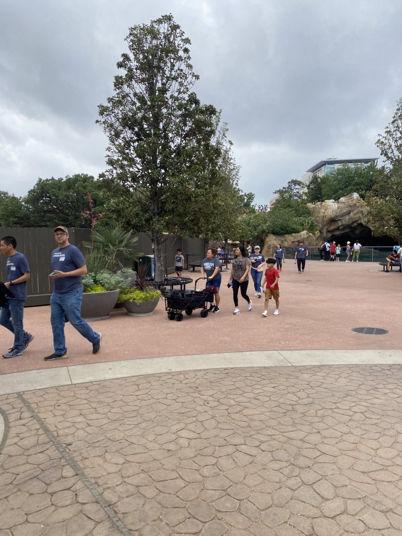 Entry Plaza Construction