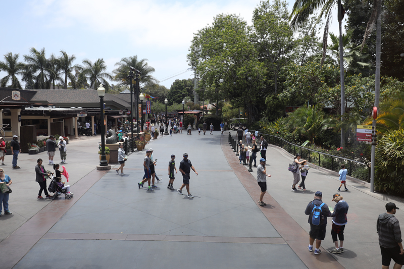 entry plaza (from bus)