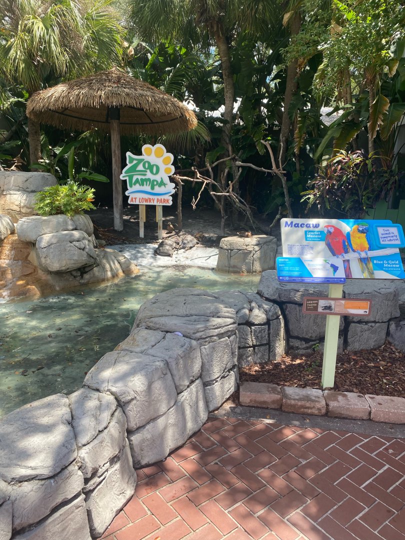 Entry Plaza- Macaw Exhibit