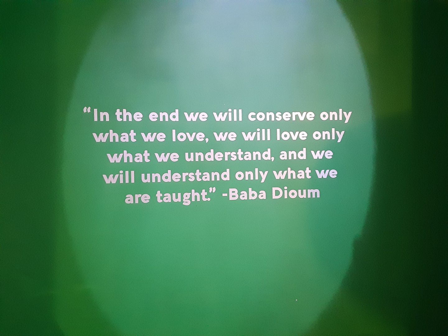 Entry Quote- the first thing you see