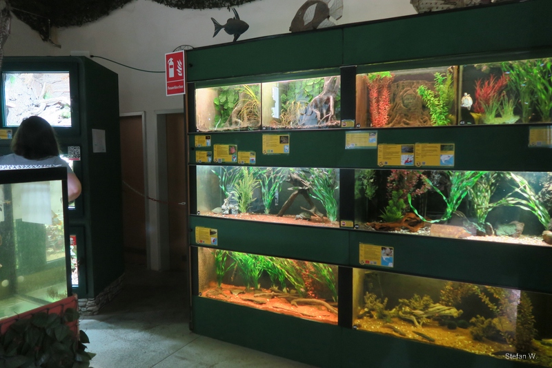 Entry Room - backside