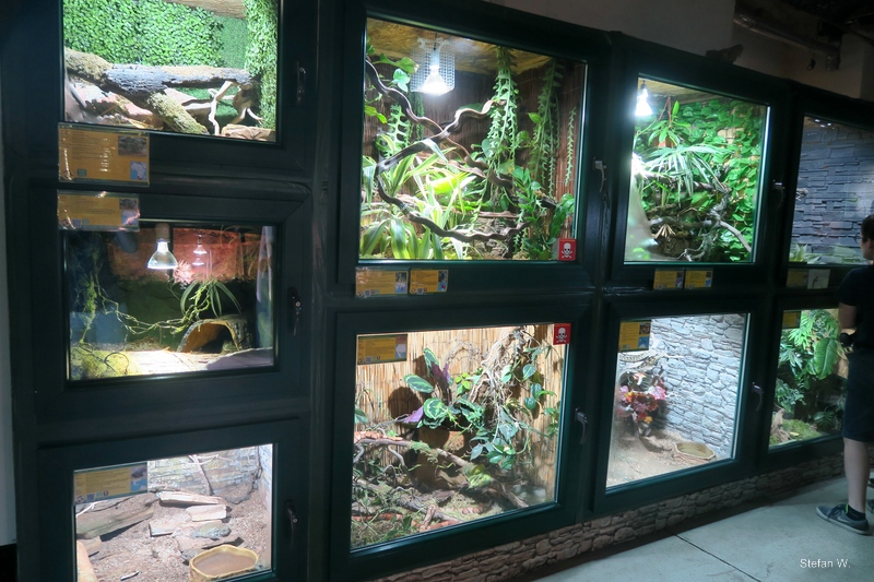 Entry room - left side