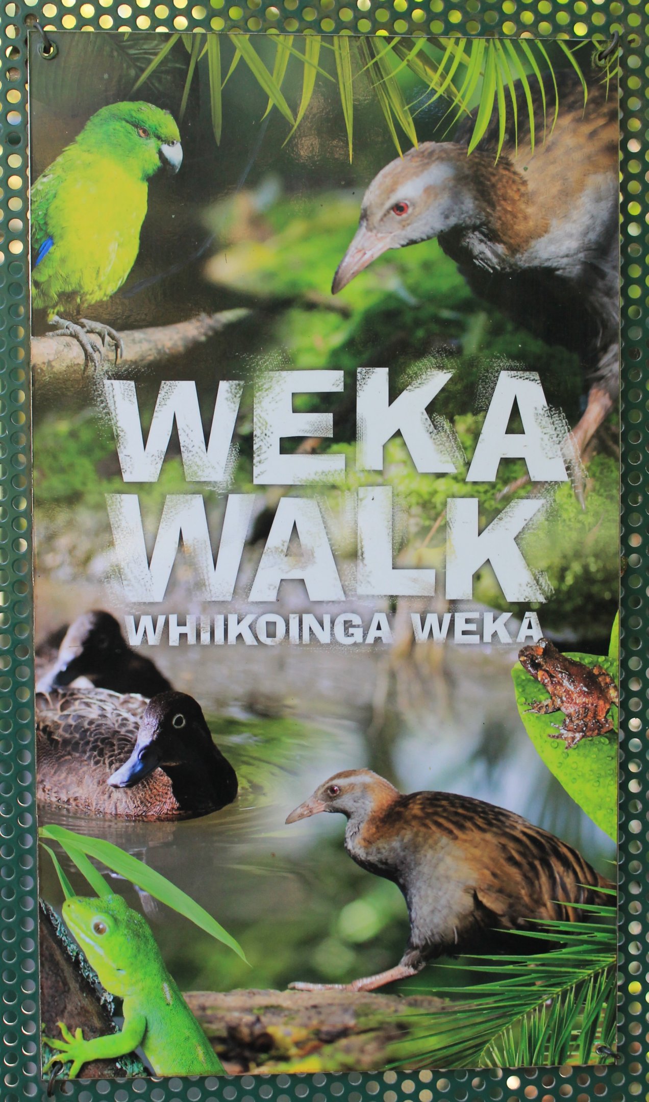 entry sign on the NZ area