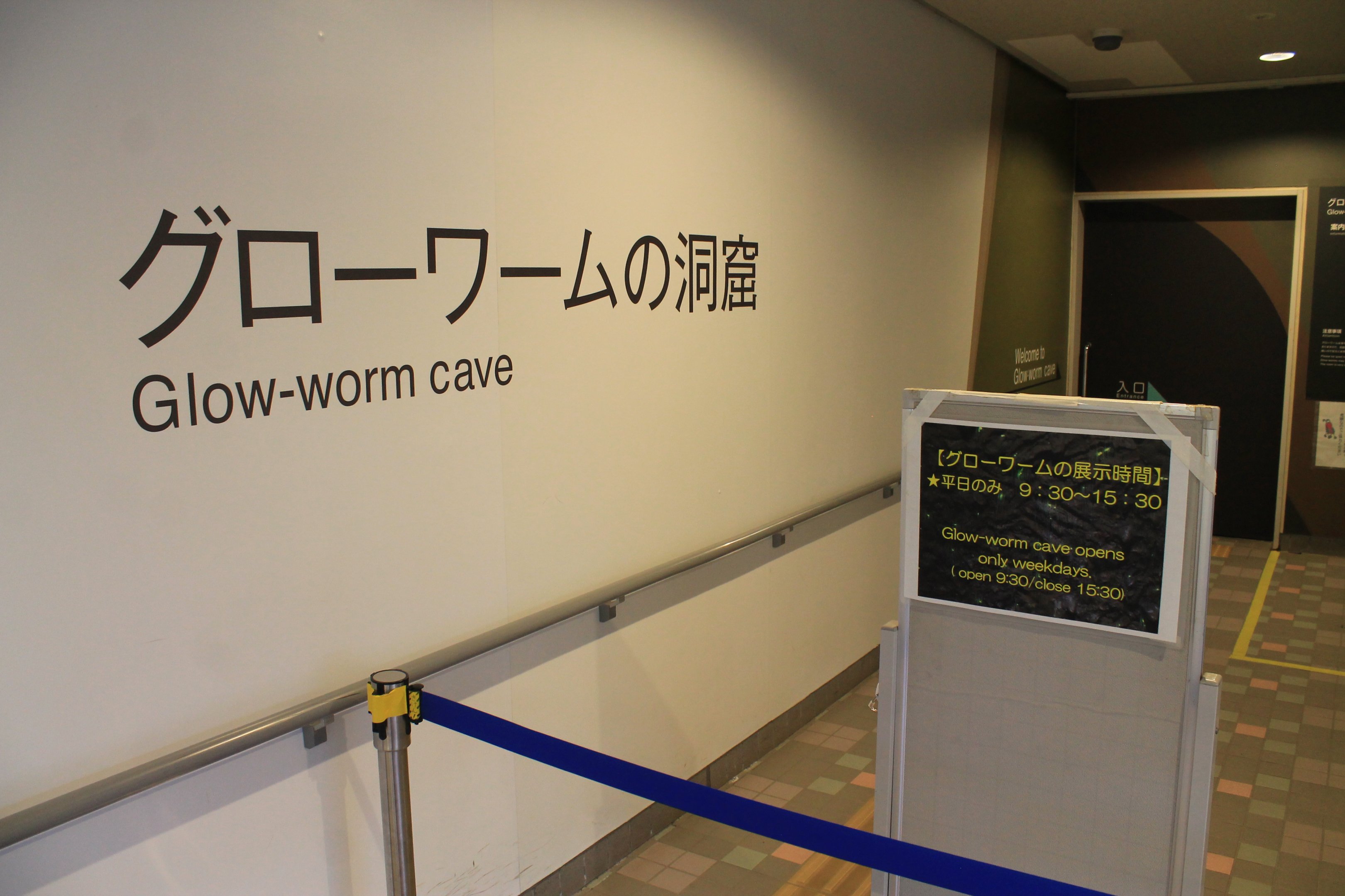 Entry to Glow-worm exhibit - Insectarium