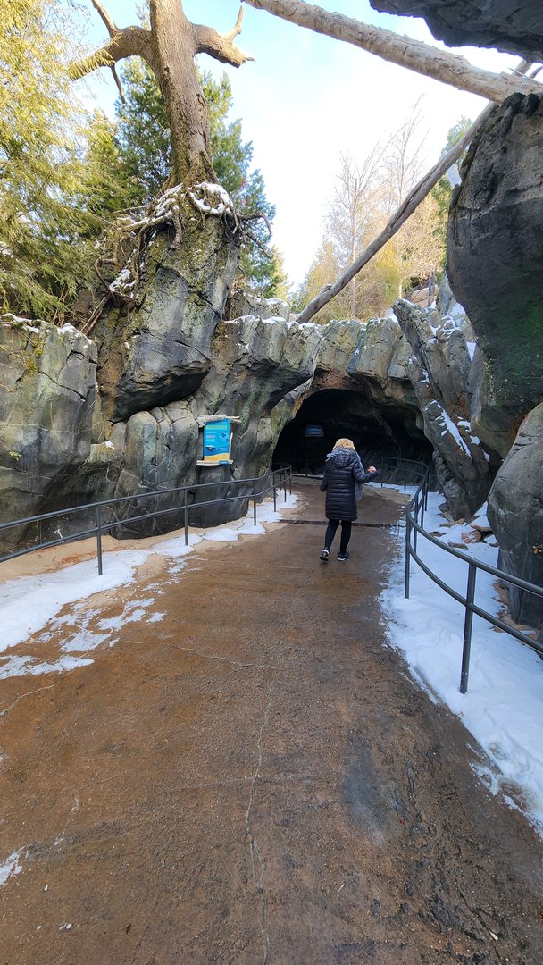 Entry to Sea Lion Cave
