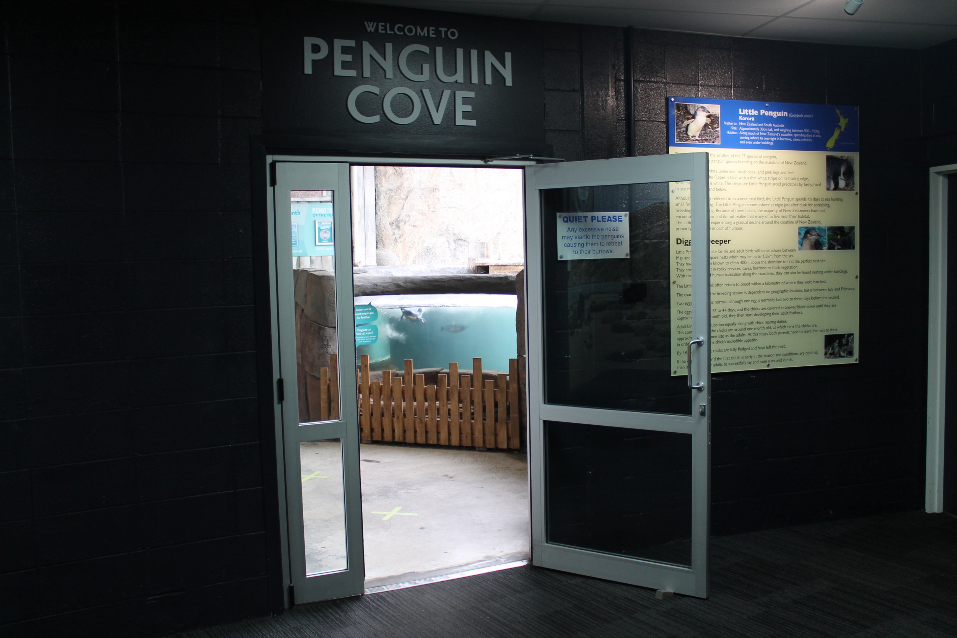 entry to the Little Blue Penguin exhibit