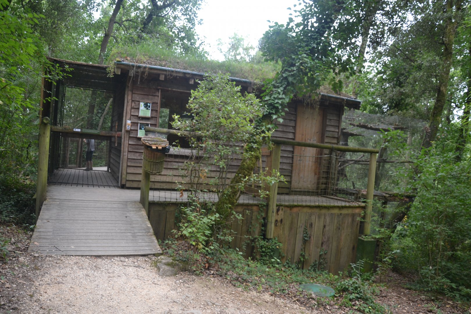 Entry to the ruffed lemurs, red-bellied lemur and hamerkops enclosure