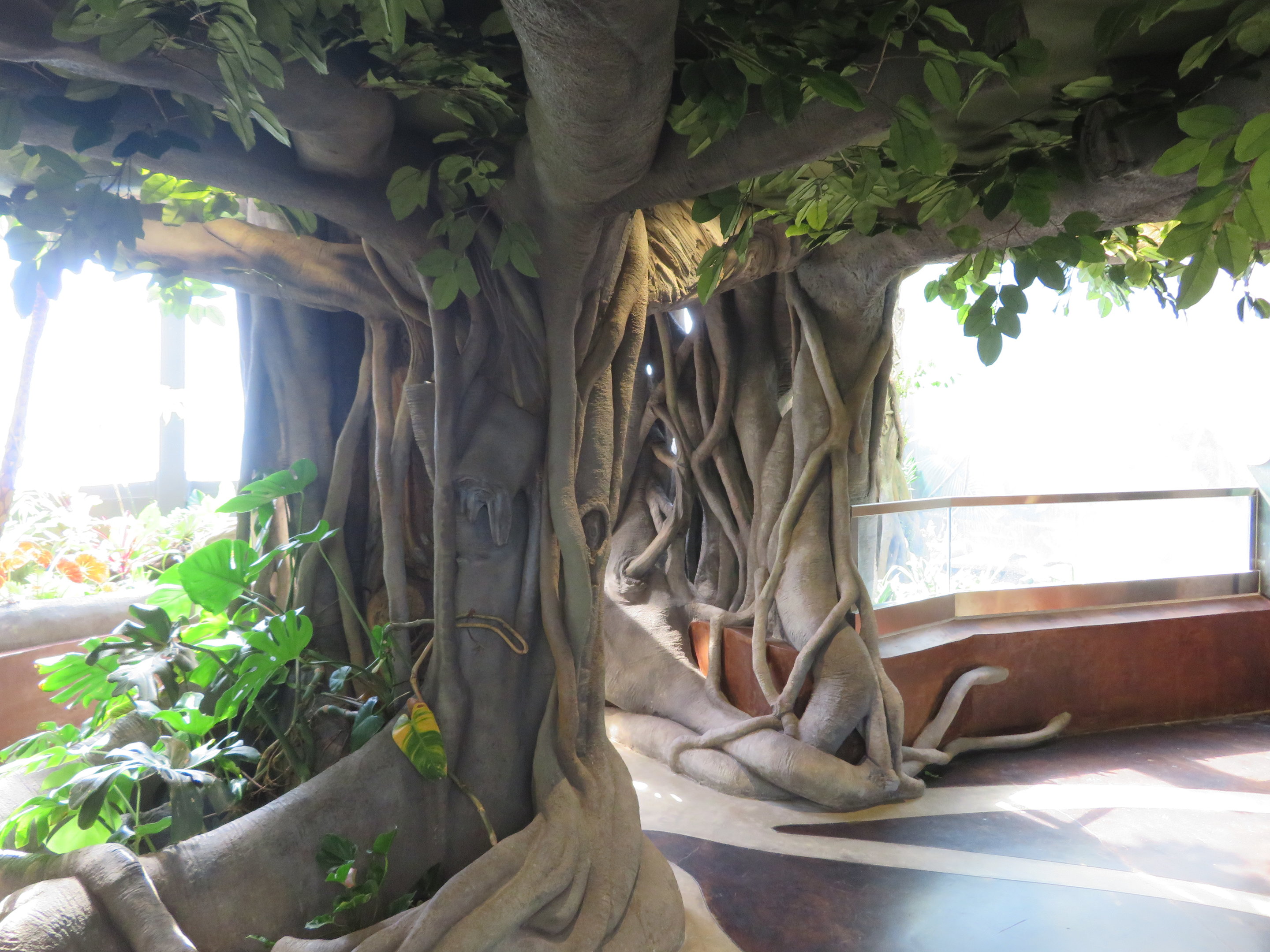 Entry Tree to Spineless Marvels