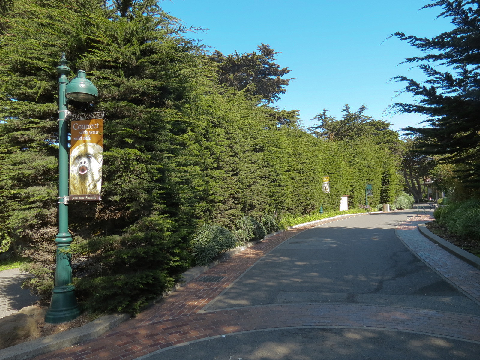 Entry Village - Walkway