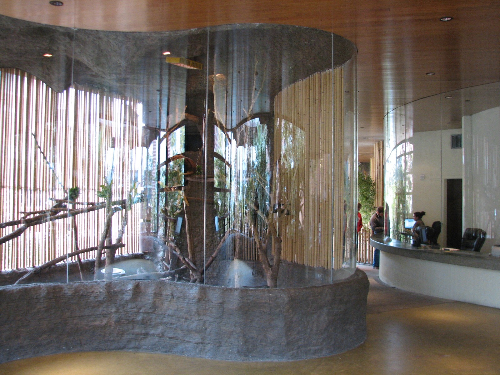 Entry with Tree Kangaroo Exhibit