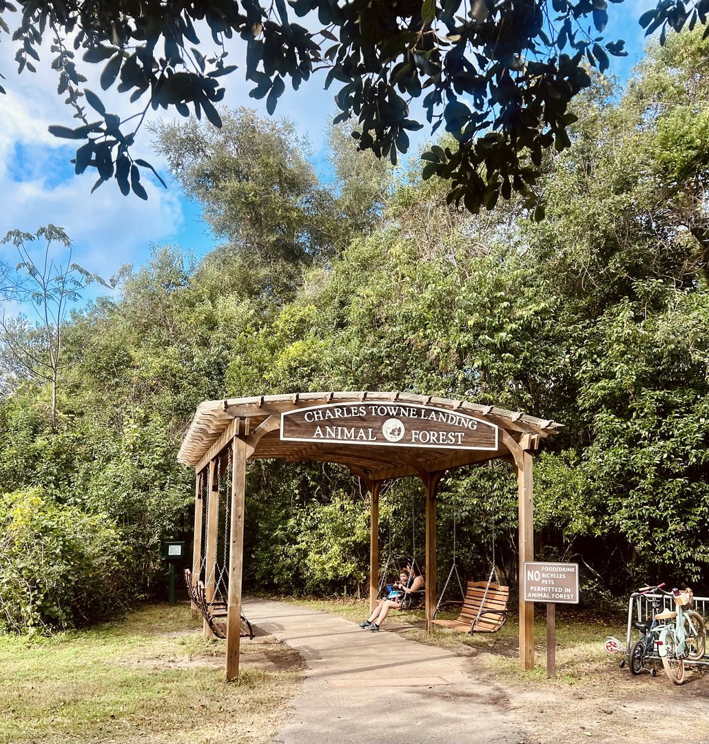 Entryway to the Animal Forest