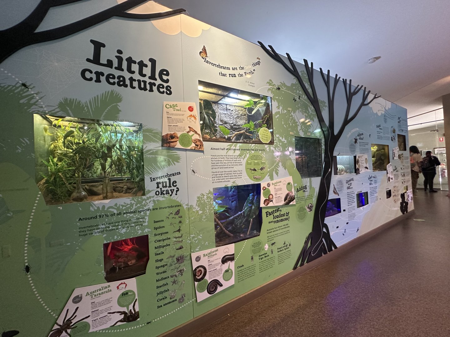Envirodome exhibit wall