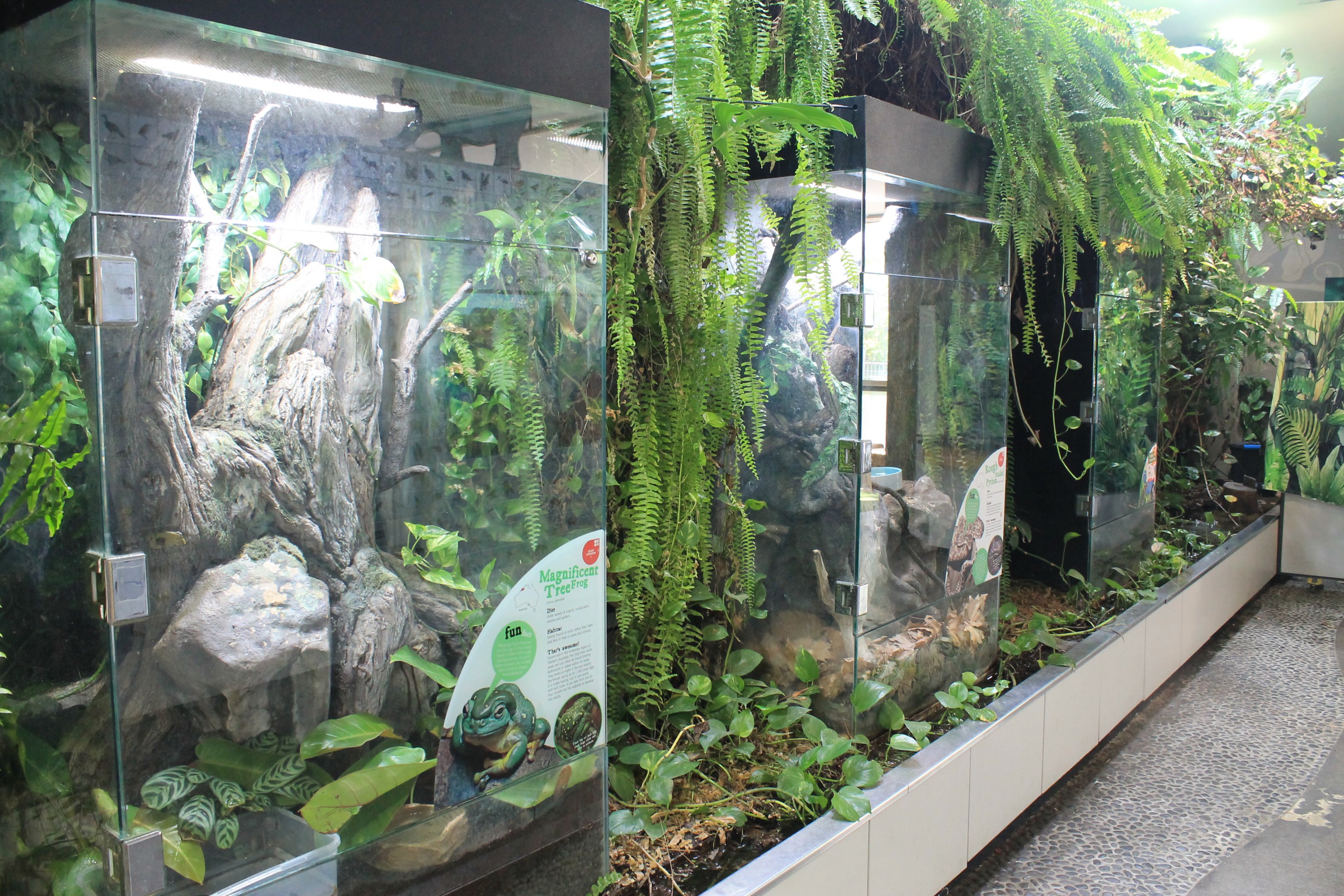 Envirodome terrariums