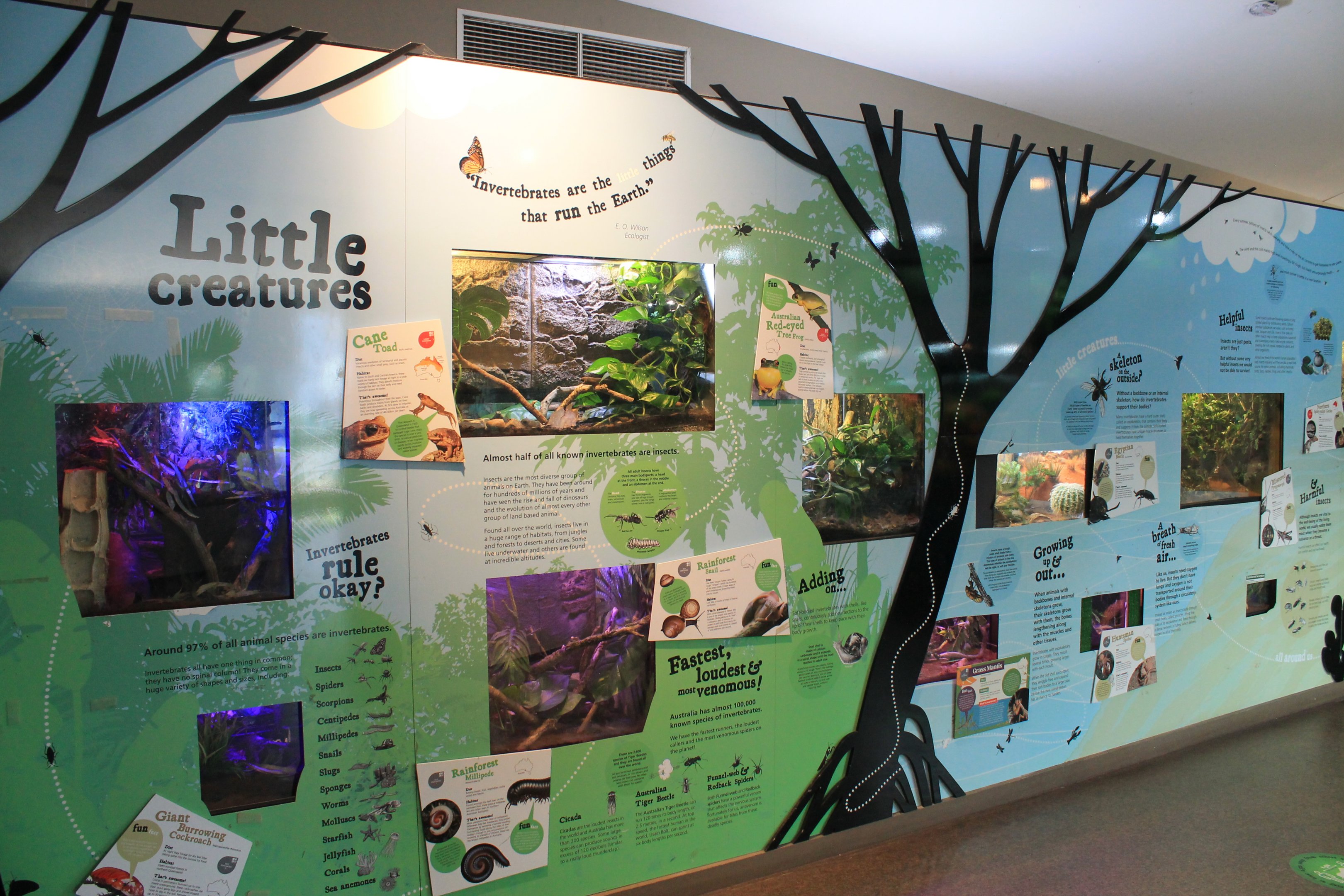 Envirodome terrariums