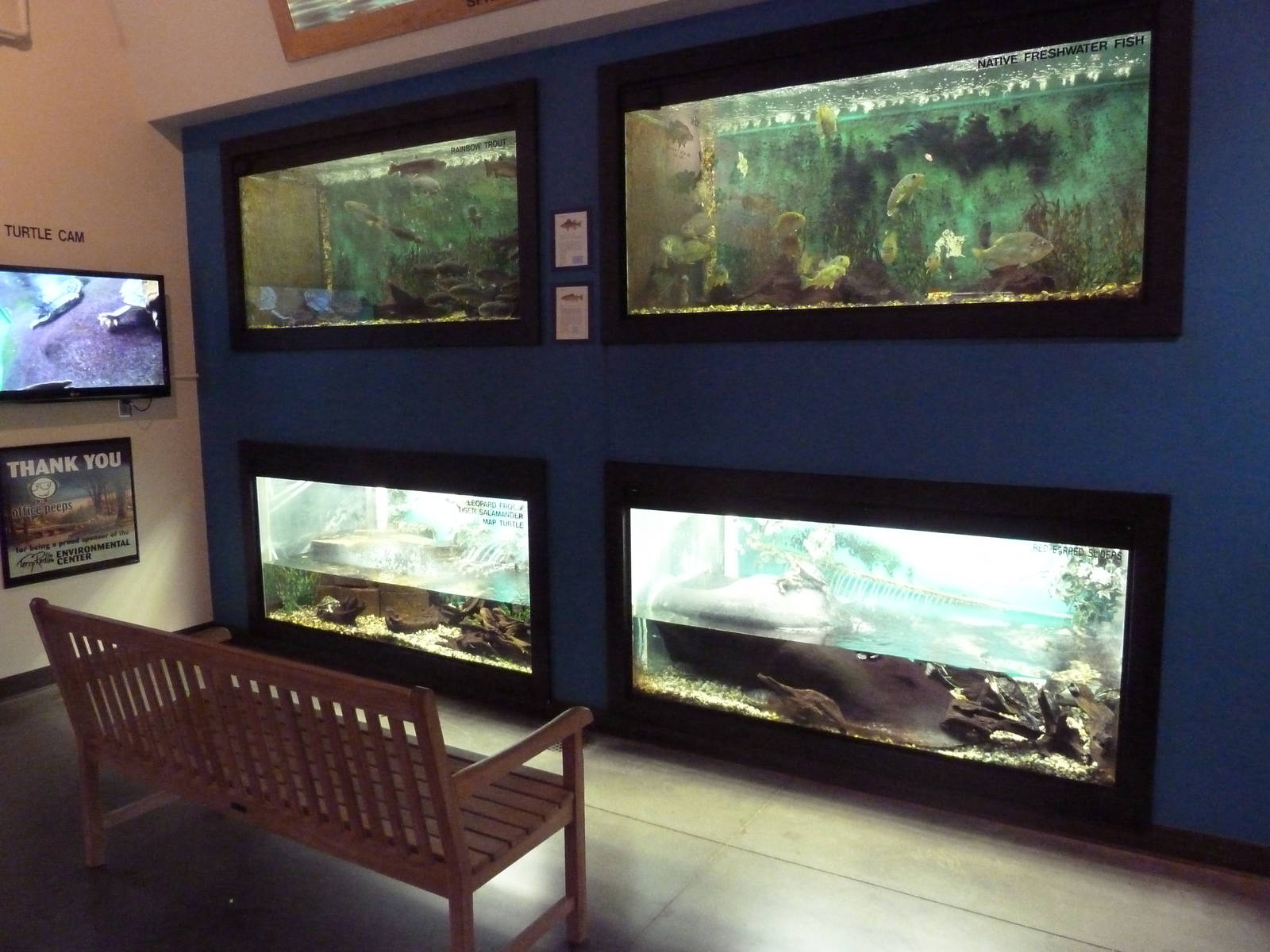 Environmental Center - Assorted Aquatic Tanks
