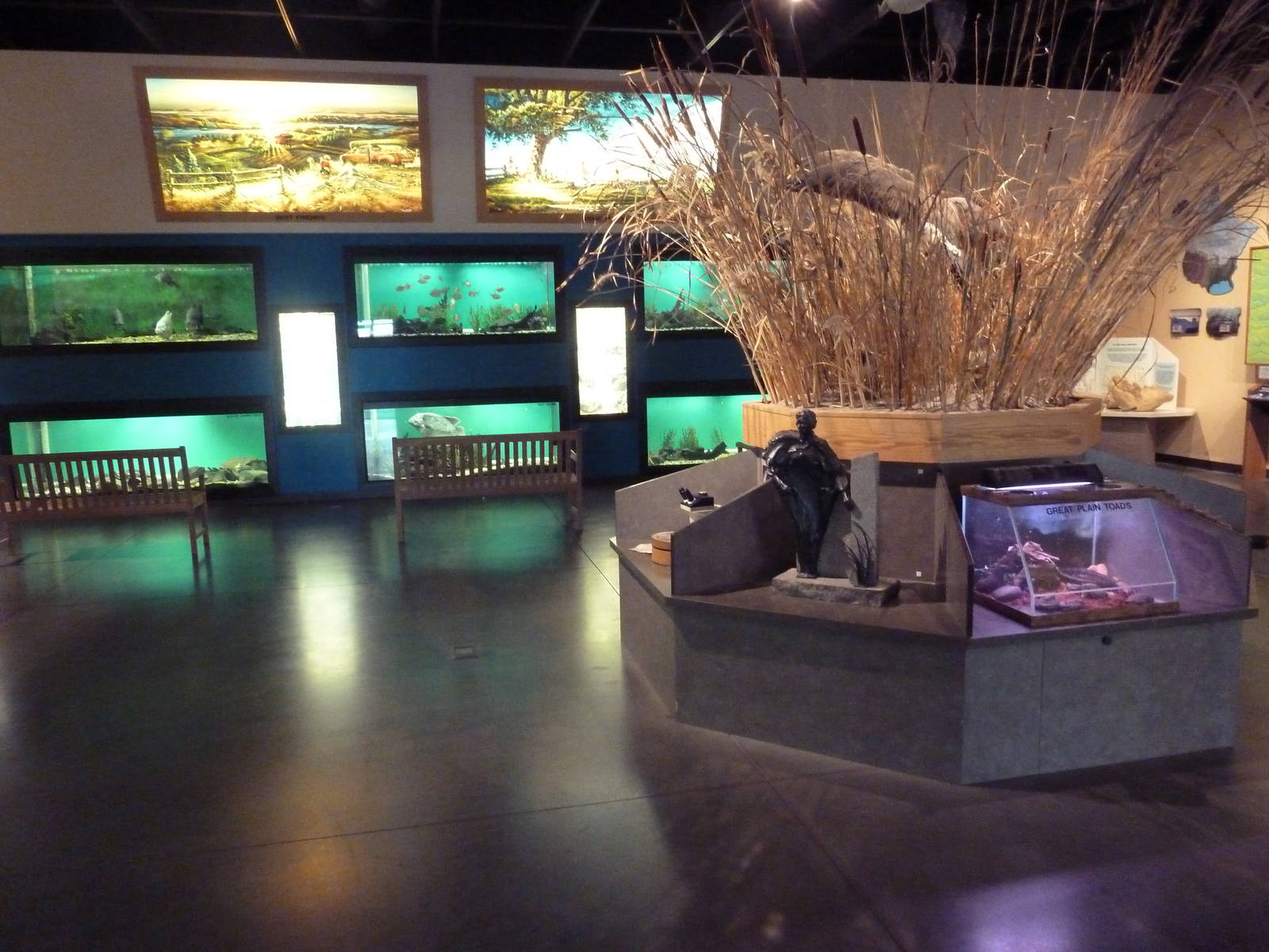 Environmental Center - Assorted Aquatic Tanks