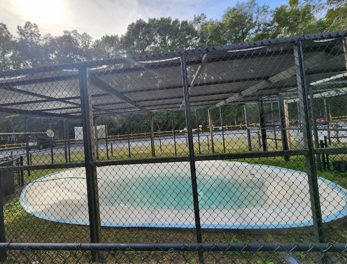 Environmental Studies Center (AL) - Alligator enclosure