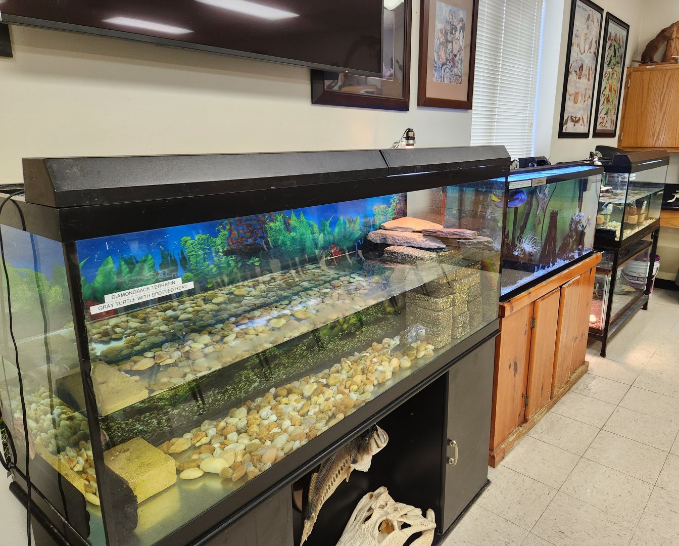 Environmental Studies Center (AL) - Aquatic exhibits