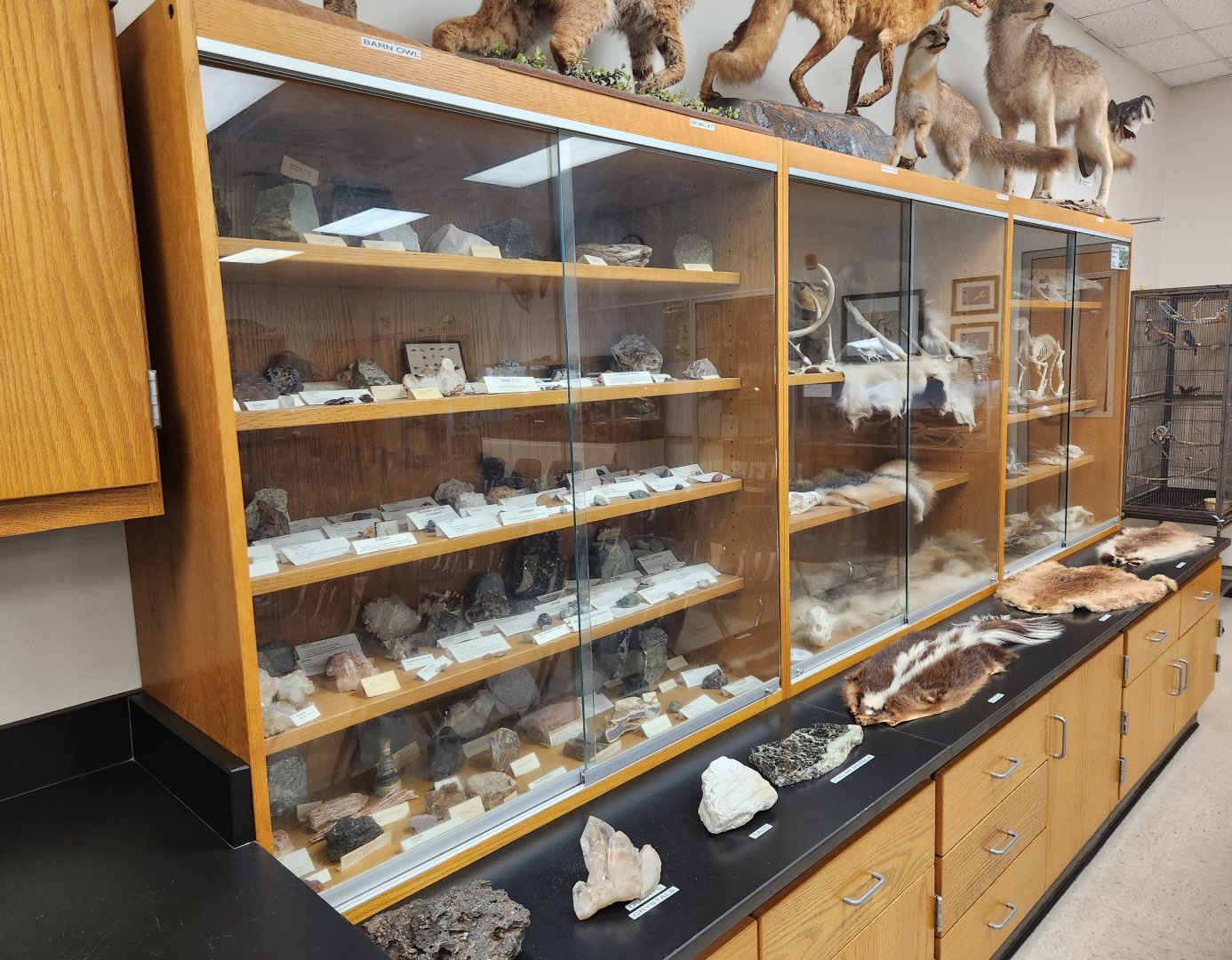 Environmental Studies Center (AL) - Science exhibits