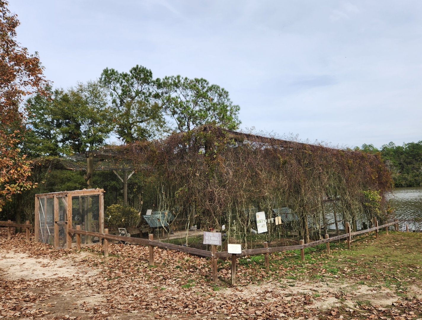 Environmental Studies Center (AL) - Seabird rehab cages