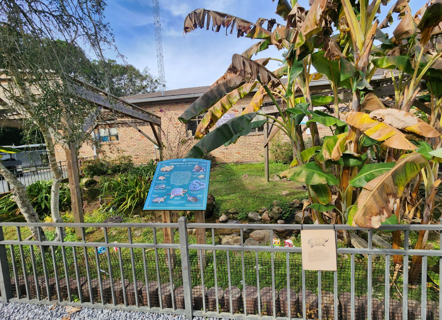 Environmental Studies Center (AL) - Turtle pond exhibit
