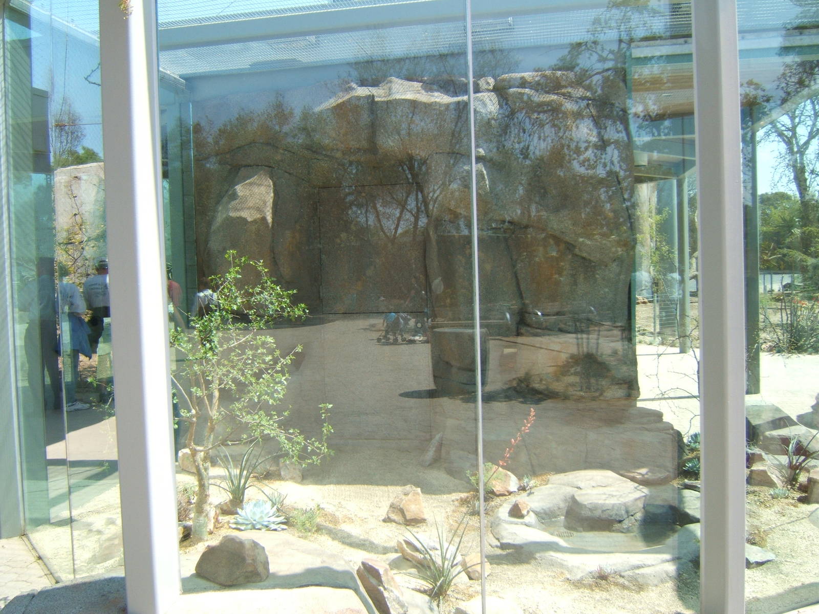 EO rattlesnake exhibit