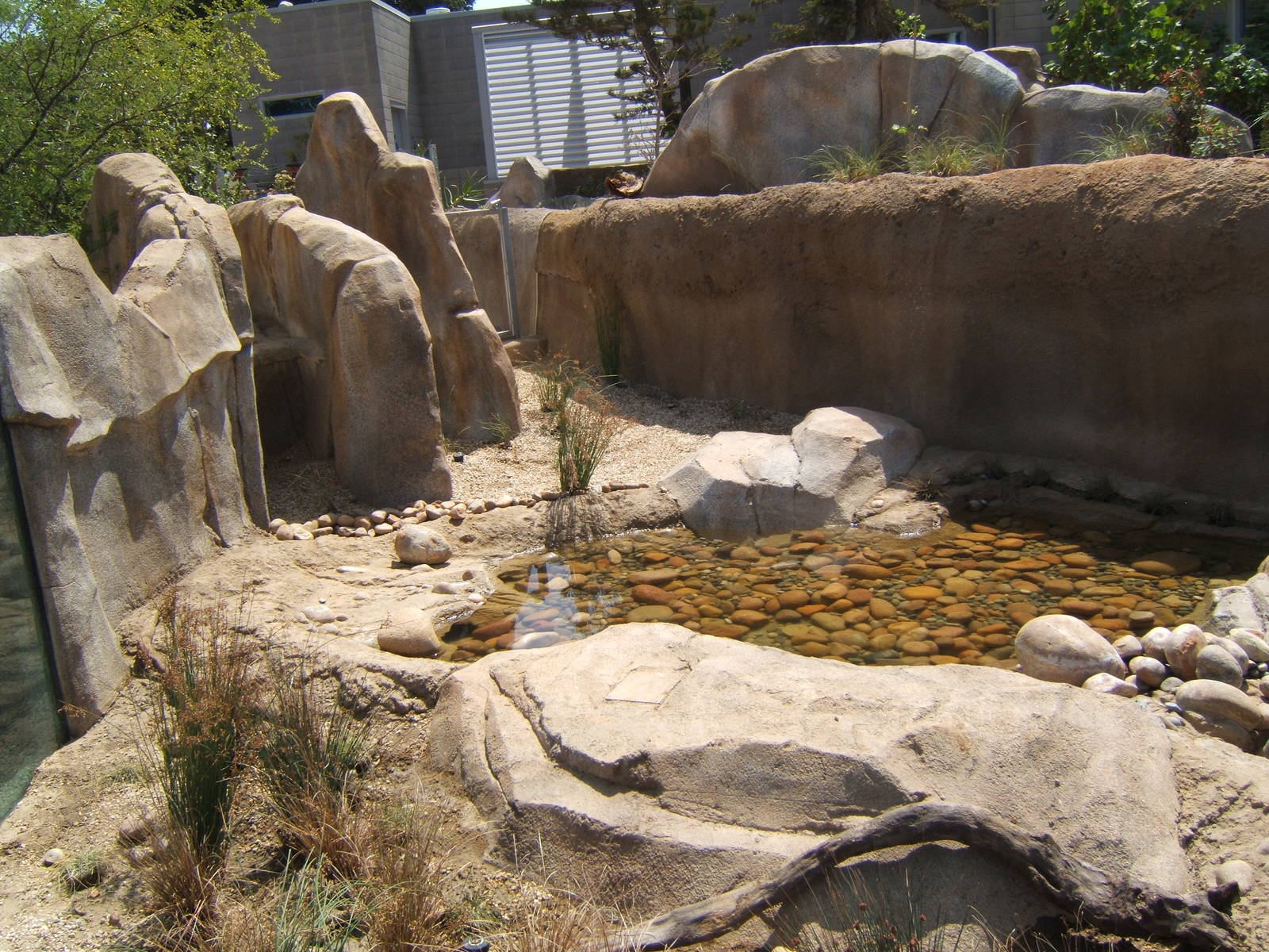 EO turtle/lizard/frog exhibit