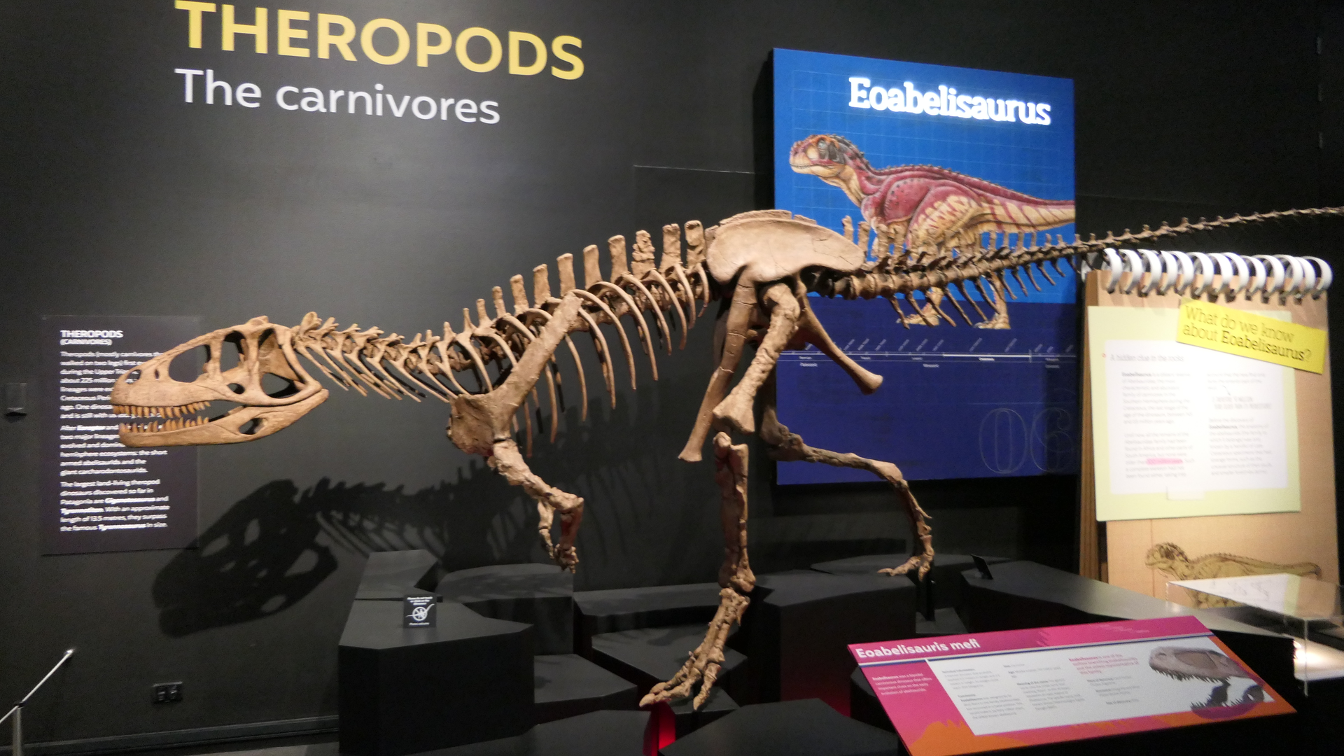 Eoabelisaurus mefi - Dinosaurs of Patagonia