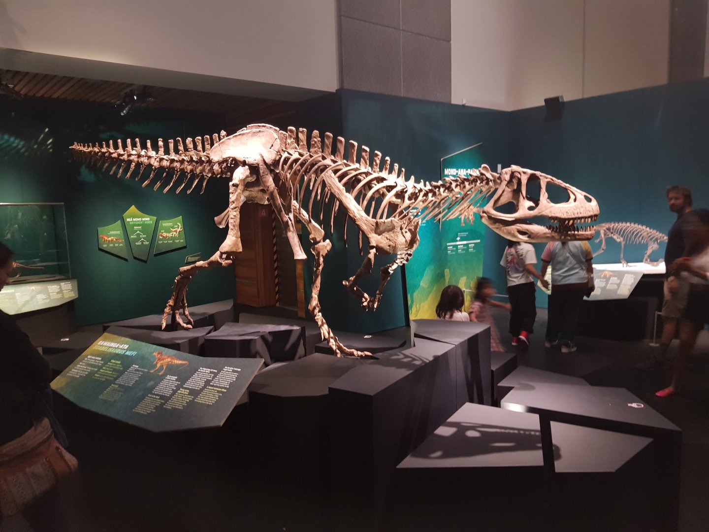 Eoabelisaurus mefi-Ngā Taniwha o Rūpapa | Dinosaurs of Patagonia, Te Papa