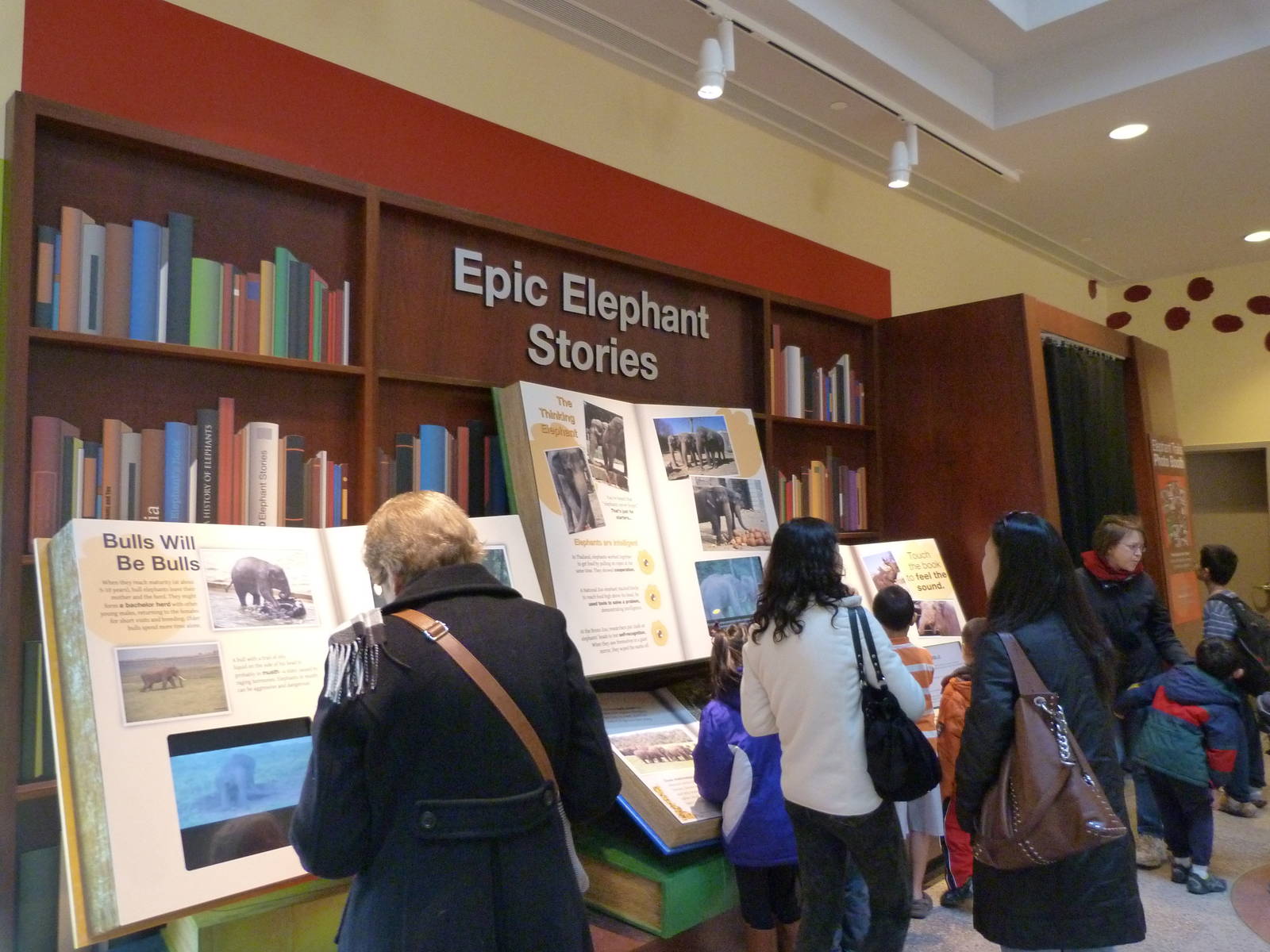 Epic Elephant Stories/Photo Booth