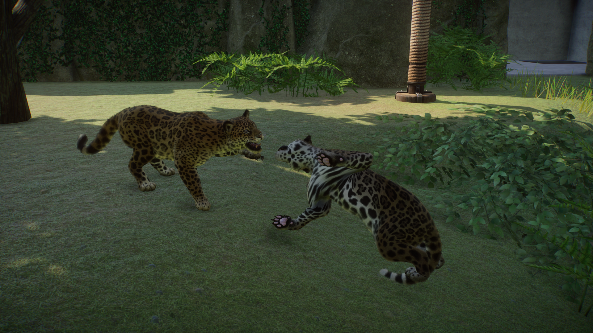 Epic Jaguar Fight