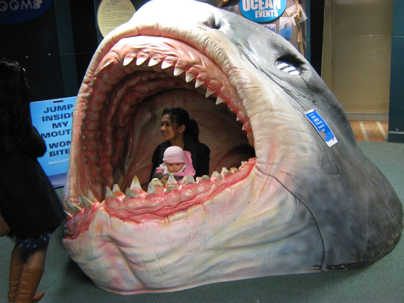 er....Carcharocles megalodon....the special needs version