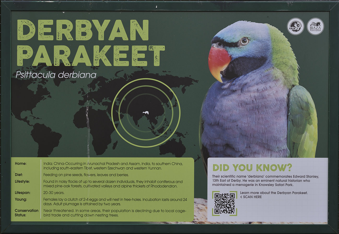 Er . . . hang on a minute . . .